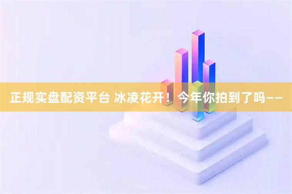正规实盘配资平台 冰凌花开！今年你拍到了吗——